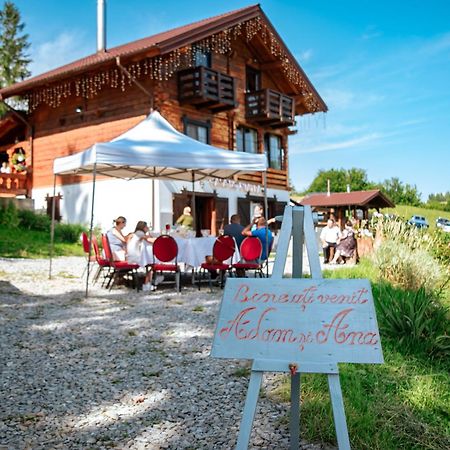 Tulean Cabin Săcel 外观 照片