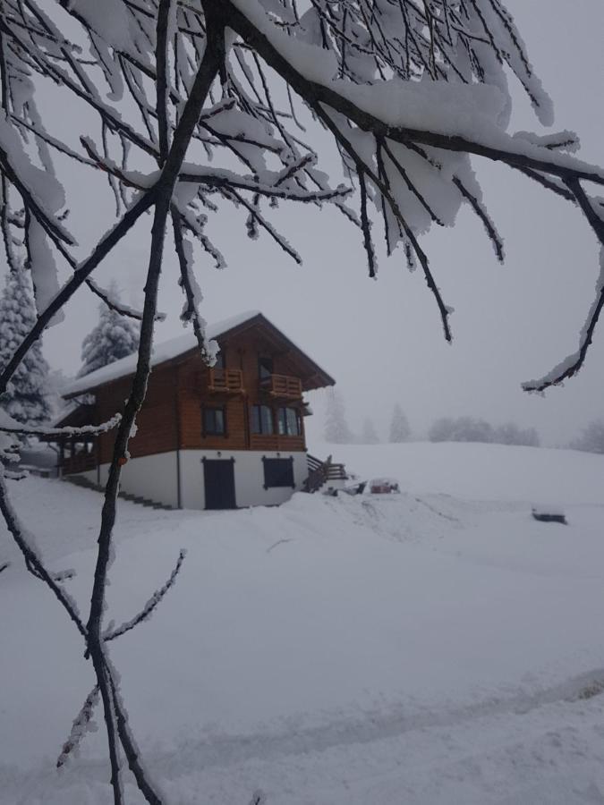 Tulean Cabin Săcel 外观 照片