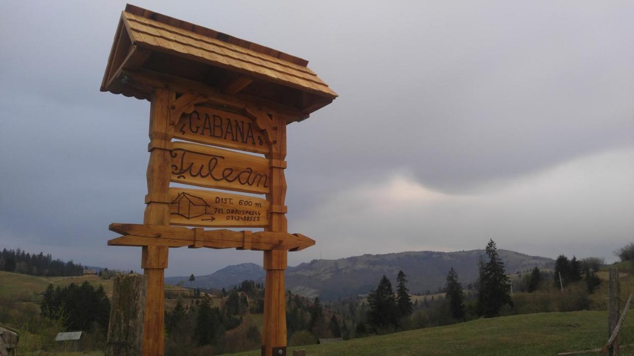 Tulean Cabin Săcel 外观 照片