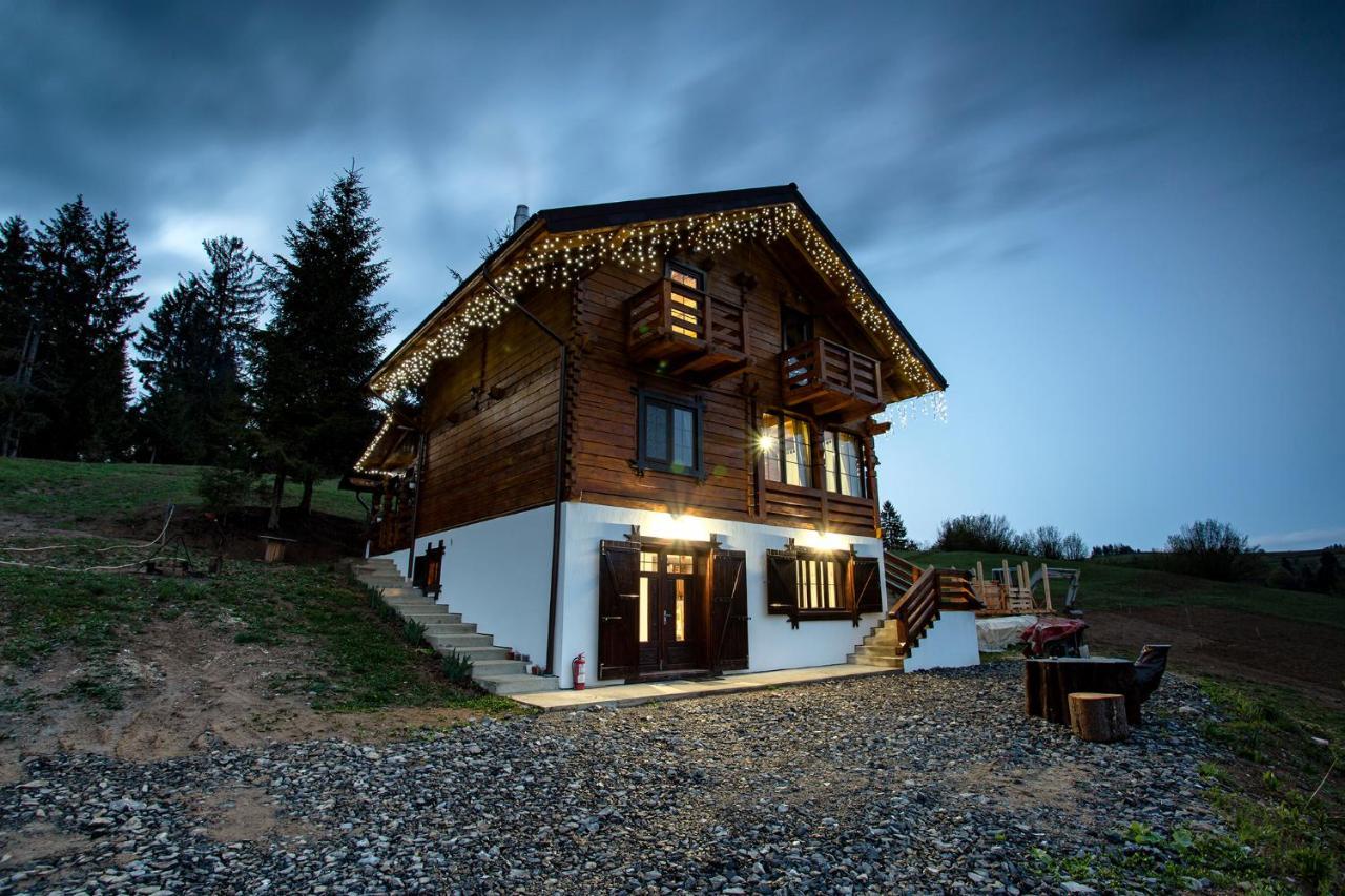 Tulean Cabin Săcel 外观 照片