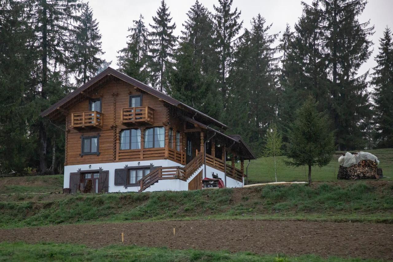 Tulean Cabin Săcel 外观 照片
