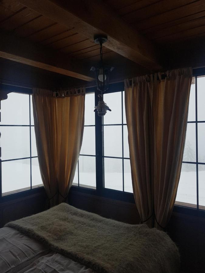 Tulean Cabin Săcel 外观 照片