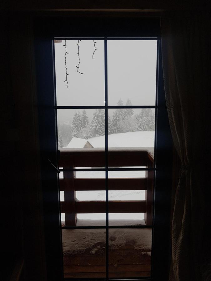 Tulean Cabin Săcel 外观 照片