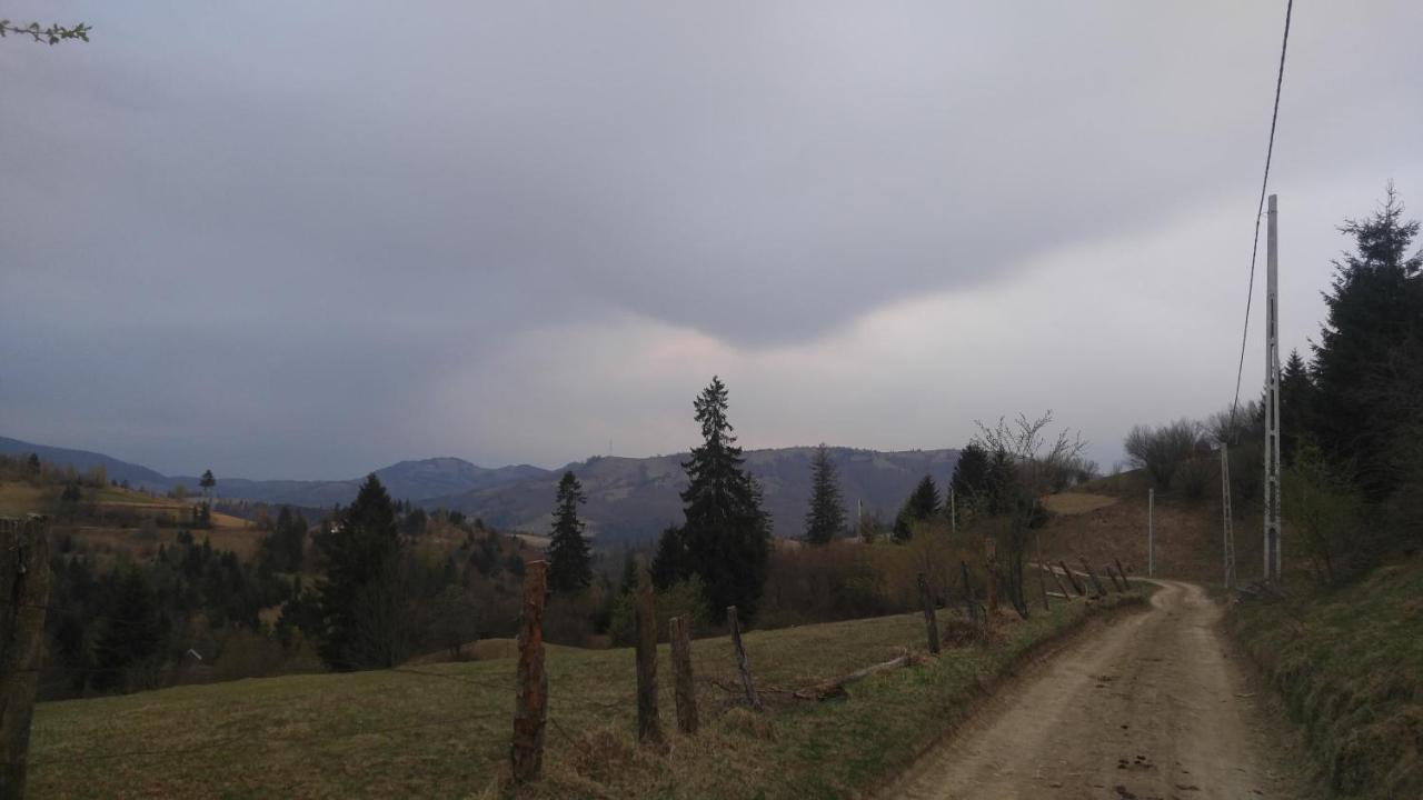 Tulean Cabin Săcel 外观 照片