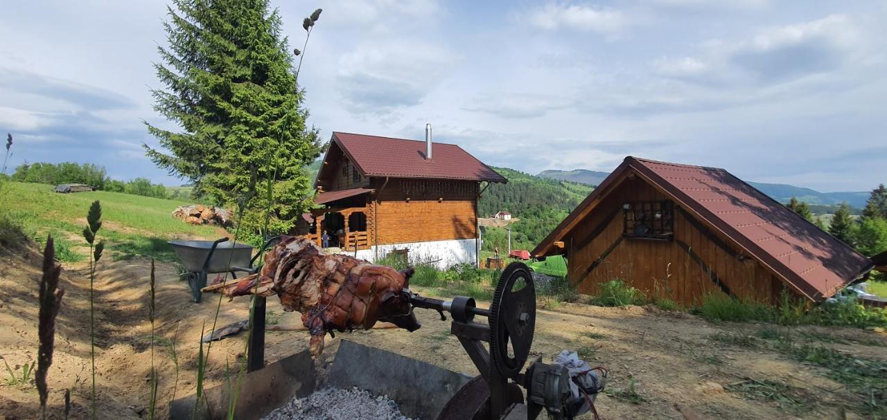 Tulean Cabin Săcel 外观 照片